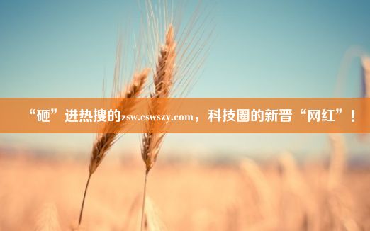 “砸”进热搜的zsw.cswszy.com，科技圈的新晋“网红”！