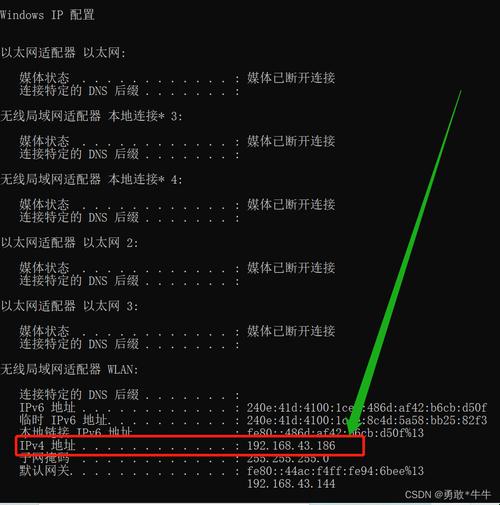 瞧你那好奇样，IP地址和端口号的“奥秘”