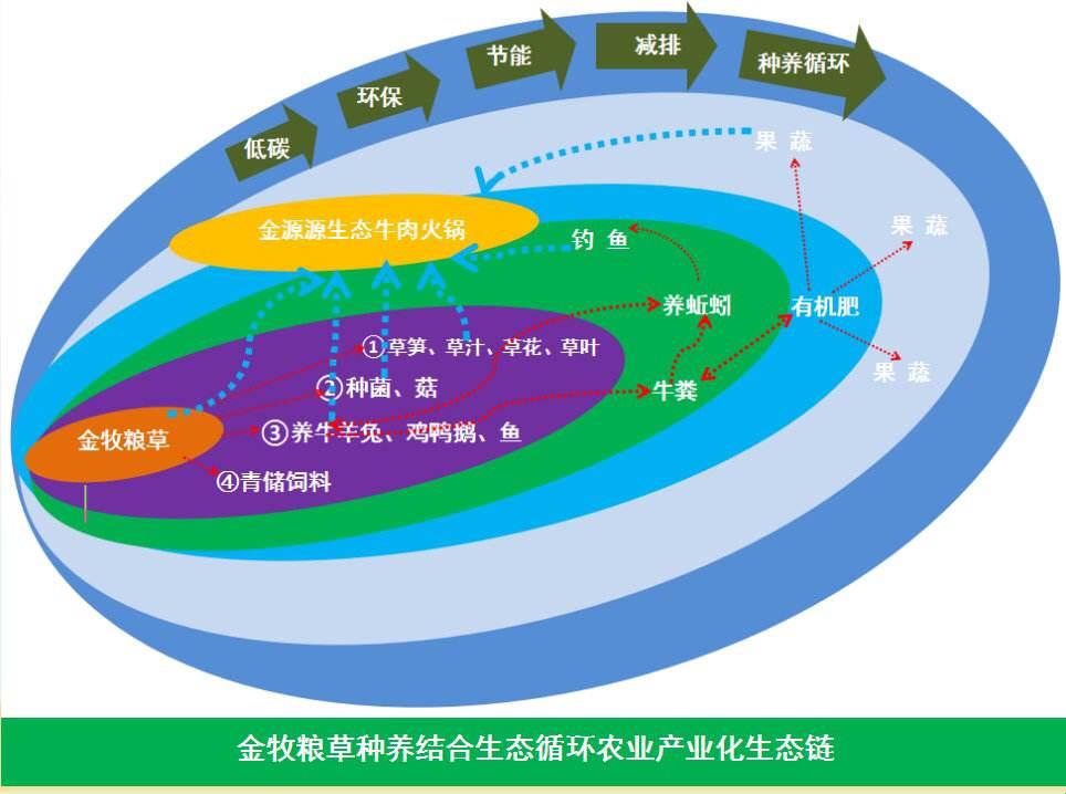 “人畜禽Corp”：科技狂潮中的幽默独行侠