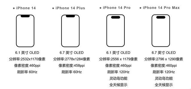 “鹅版iPhone对决国货，网民众说纷纭：哪个更‘战斗’？”