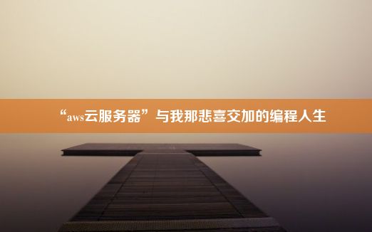 “aws云服务器”与我那悲喜交加的编程人生