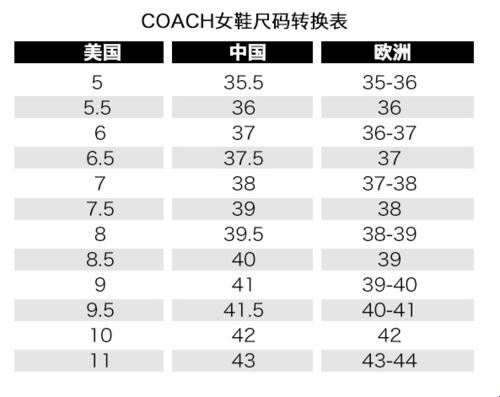 "四叶草M码对阵欧罗巴秘符：科技界的撞击，笑掉大牙的揭秘"