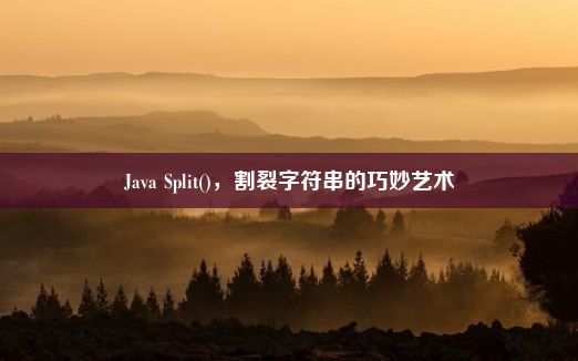 Java Split()，割裂字符串的巧妙艺术