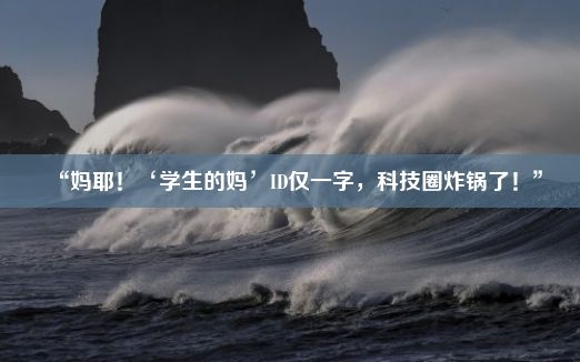 “妈耶！‘学生的妈’ID仅一字，科技圈炸锅了！”