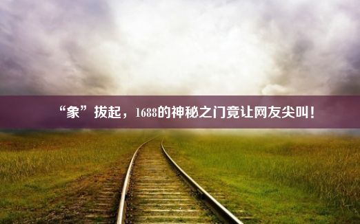 “象”拔起，1688的神秘之门竟让网友尖叫！