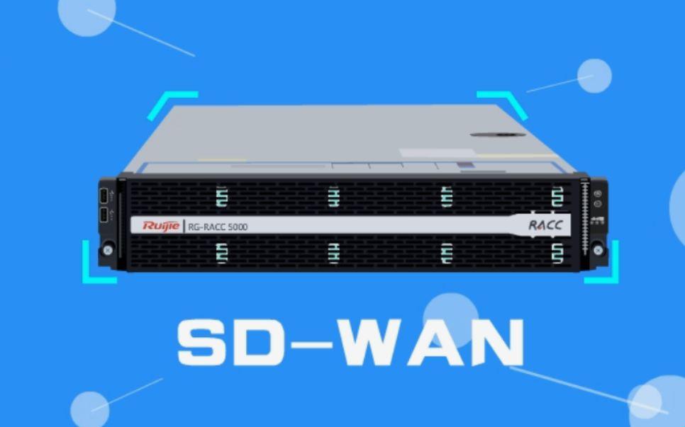 sdwan5100A：狂欢在知识的海洋，搞笑在网络的边际