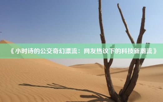 《小时诗的公交奇幻漂流：网友热议下的科技新潮流》