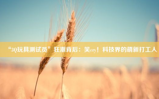 “3Q玩具测试员”狂潮背后：笑cry！科技界的萌新打工人