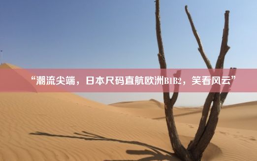 “潮流尖端，日本尺码直航欧洲B1B2，笑看风云”