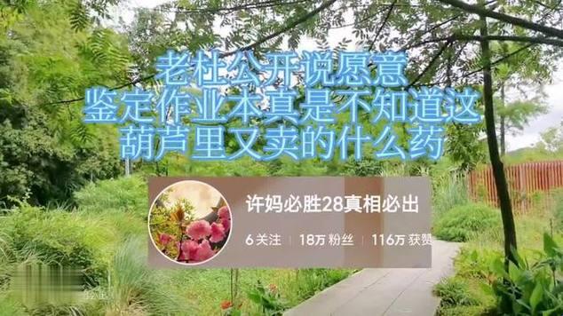 “葫芦里不卖药”，千万你需要——围观群众视角下的新趋势