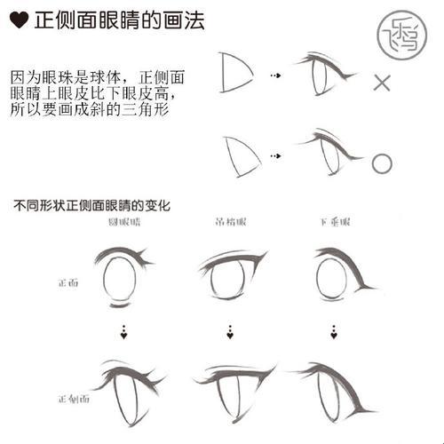 "漫"步"教"场，网友笑谈：我是那个被"画"哭的小白