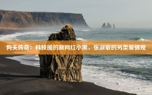 狗夫传奇：科技圈的新网红小黑，张淑敏的另类爱情观