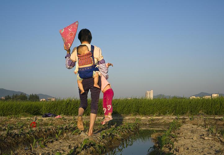 “土地里的科技狂想曲：妈妈的田，我的硅”