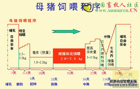 狂野美利坚，Zoom猪养成大法！网友热议新趋势