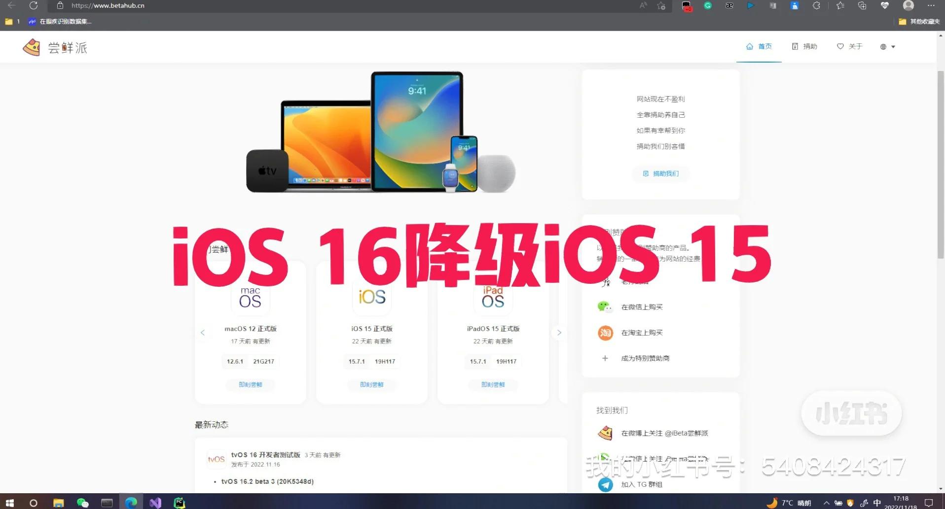 全球_ios固件，谁说天下大同？