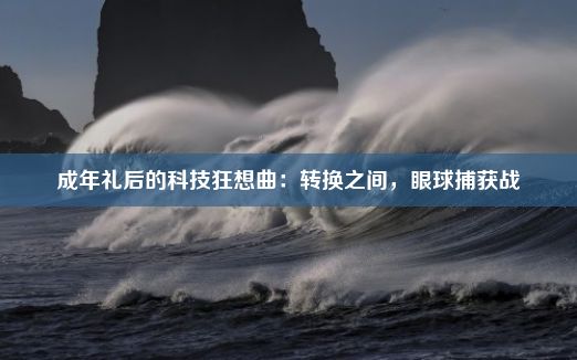 成年礼后的科技狂想曲：转换之间，眼球捕获战