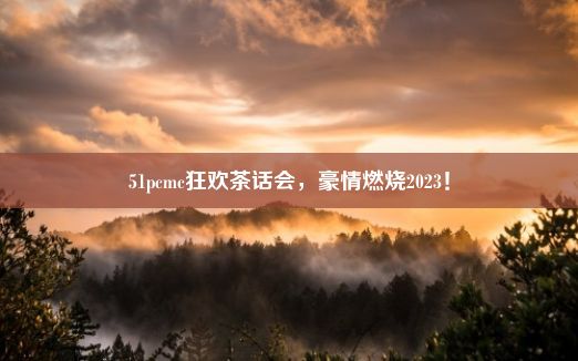 51pcmc狂欢茶话会，豪情燃烧2023！