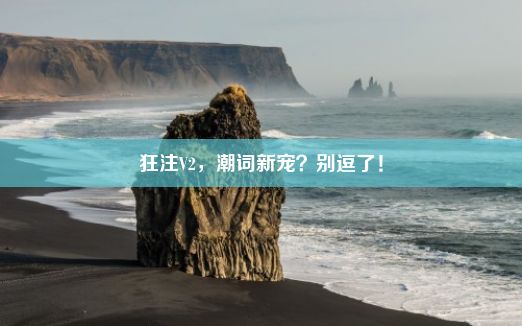 狂注V2，潮词新宠？别逗了！