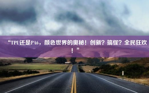 “TPU还是PA6，颜色世界的奥秘！创新？搞怪？全民狂欢！”