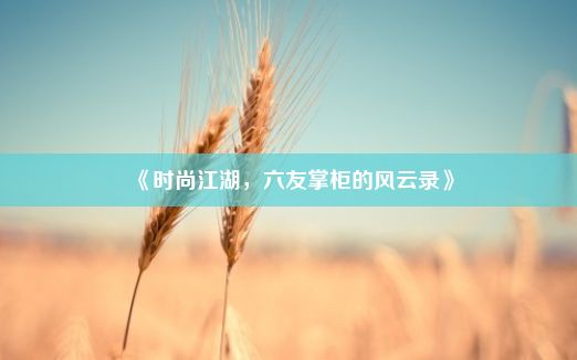 《时尚江湖，六友掌柜的风云录》