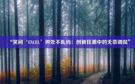 “笑问‘EXCEL’何处不乱码：创新狂潮中的无奈调侃”