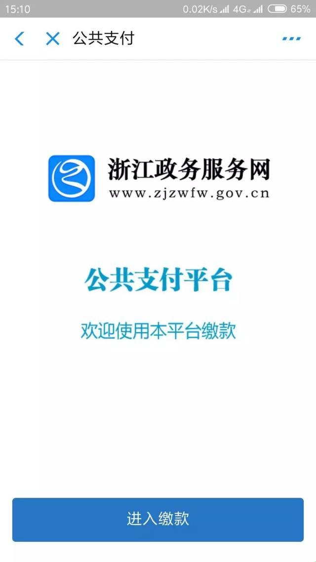 “zzcg.gov.cn”，科技界的“独辟蹊径”之谜