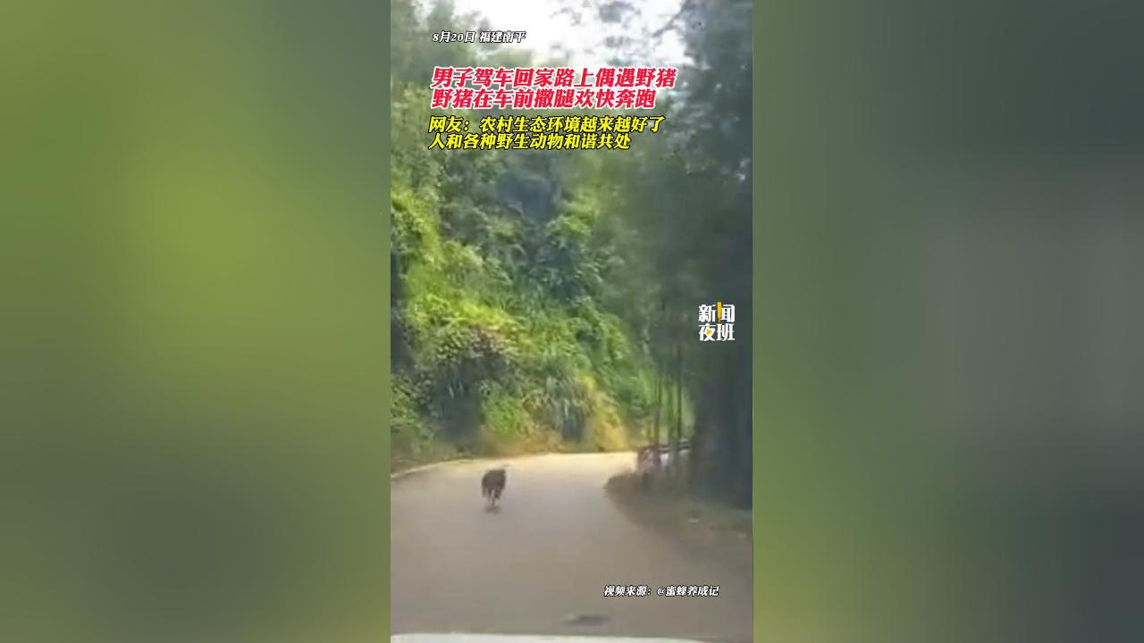 "野猪路2021：探秘神秘地址，网友热议下的科技风景"