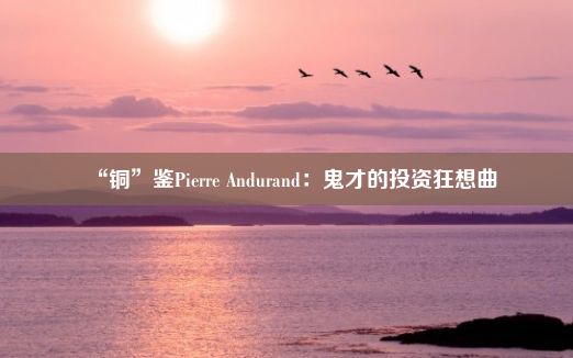 “铜”鉴Pierre Andurand：鬼才的投资狂想曲