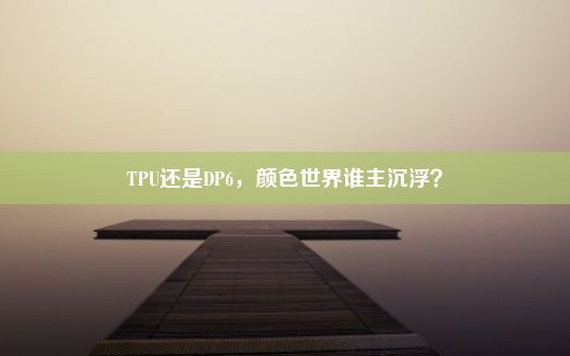 TPU还是DP6，颜色世界谁主沉浮？