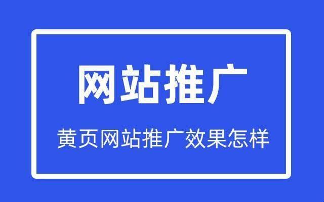 "网黄页"震撼揭秘：科技界的隐性巨兽