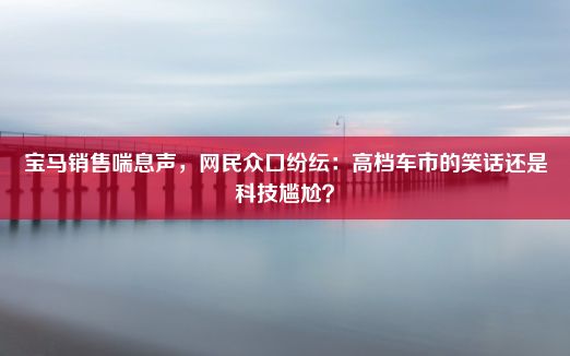 宝马销售喘息声，网民众口纷纭：高档车市的笑话还是科技尴尬？