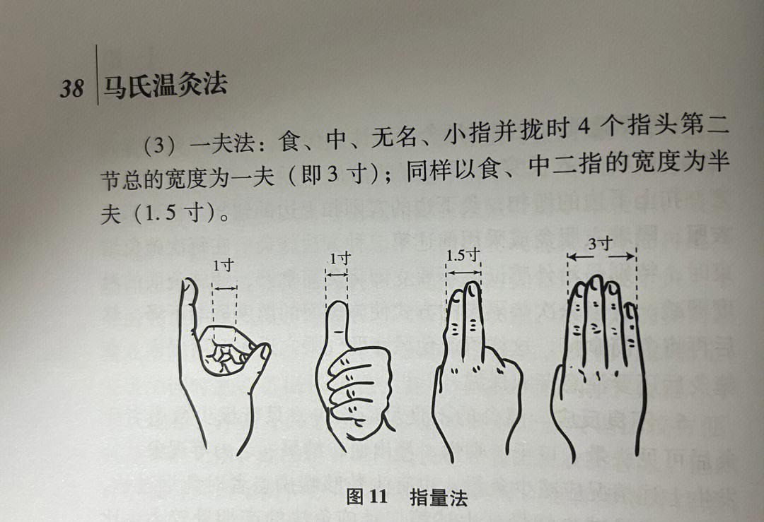 “新手探秘：迷人入口，何处藏身？”