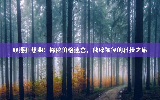 双摇狂想曲：探秘价格迷宫，独辟蹊径的科技之旅