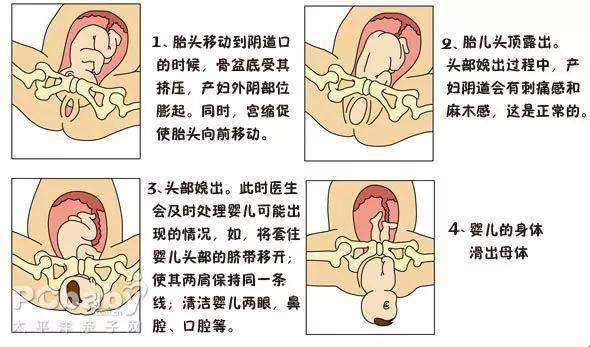 生物老师的小秘密