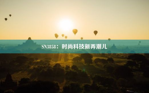 SN3858：时尚科技新弄潮儿