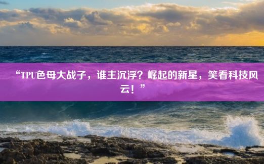 “TPU色母大战子，谁主沉浮？崛起的新星，笑看科技风云！”