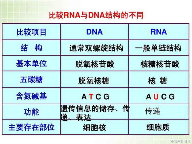 “人类驴 DNA 一致？”调侃间的科学狂想曲