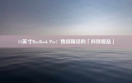 14英寸MacBook Pro：独辟蹊径的「科技甜品」