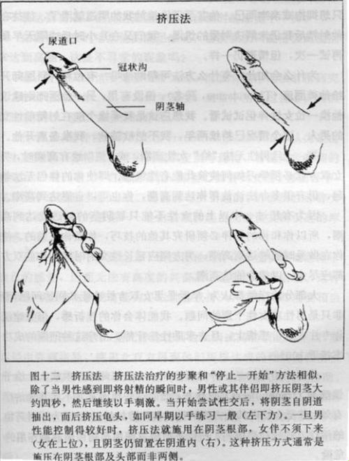 "交而不泄，固精妙法：道家独步江湖的绝技探秘"