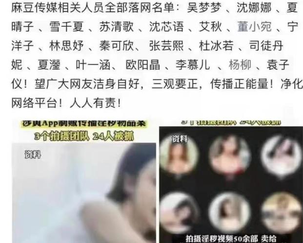 《苏董林：创新弄潮儿，科技江湖行》