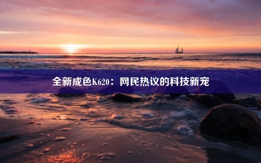 全新成色K620：网民热议的科技新宠