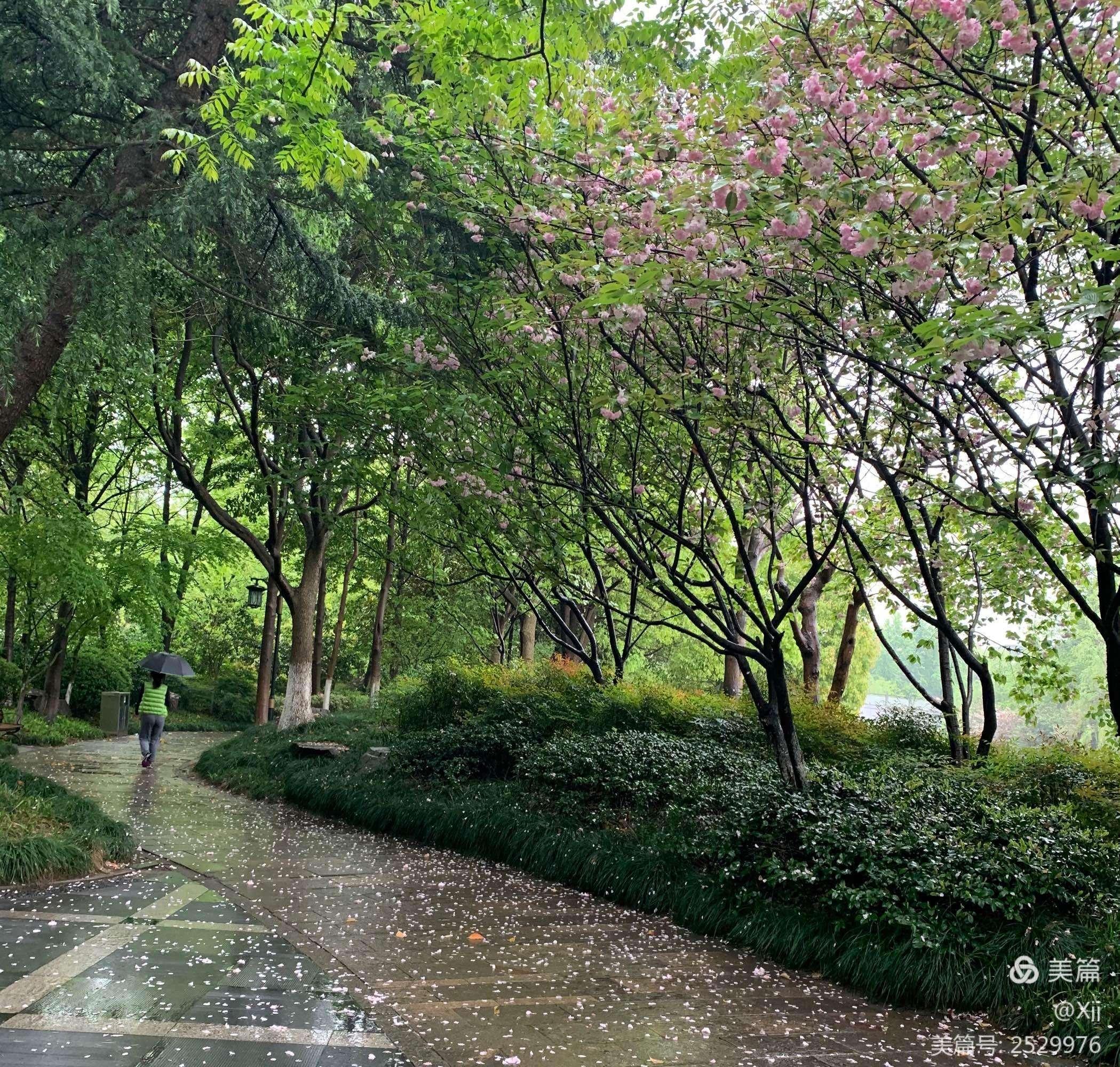 春雨湿科技，欢声盖喧嚣：潮流新风向的另类解读