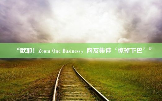 “欧耶！Zoom One Business，网友集体‘惊掉下巴’”