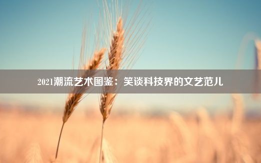 2021潮流艺术图鉴：笑谈科技界的文艺范儿