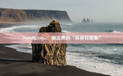 ZOZO与ZOOm：潮流界的“异卵双胞胎”