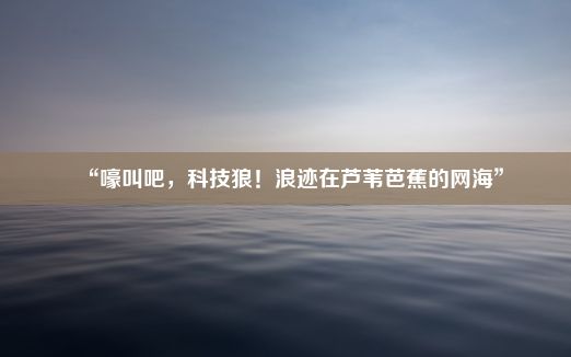 “嚎叫吧，科技狼！浪迹在芦苇芭蕉的网海”