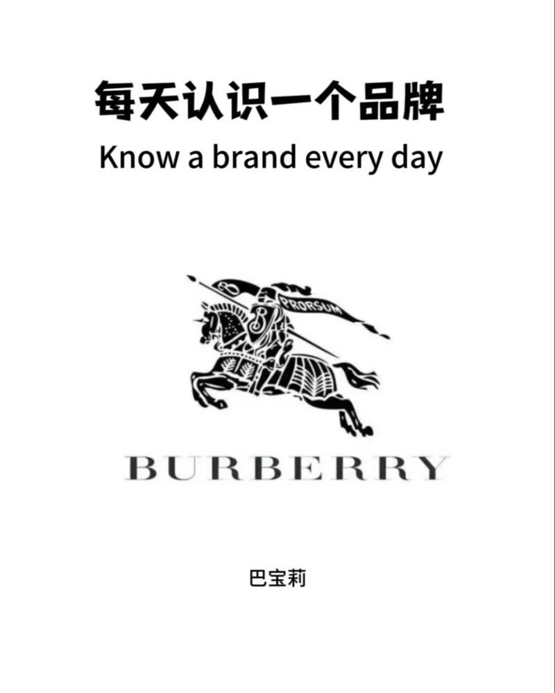 "时尚圈笑话？BURBERRY中文免费版引发的辣眼热议"