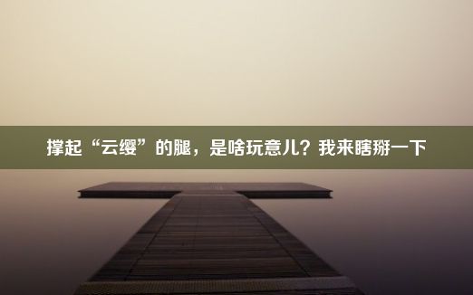 撑起“云缨”的腿，是啥玩意儿？我来瞎掰一下