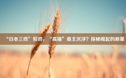 “日本三线”较劲，“高端”谁主沉浮？探秘崛起的新星