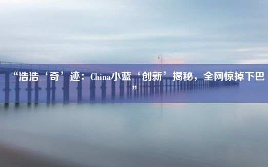 “浩浩‘奇’迹：China小蓝‘创新’揭秘，全网惊掉下巴”